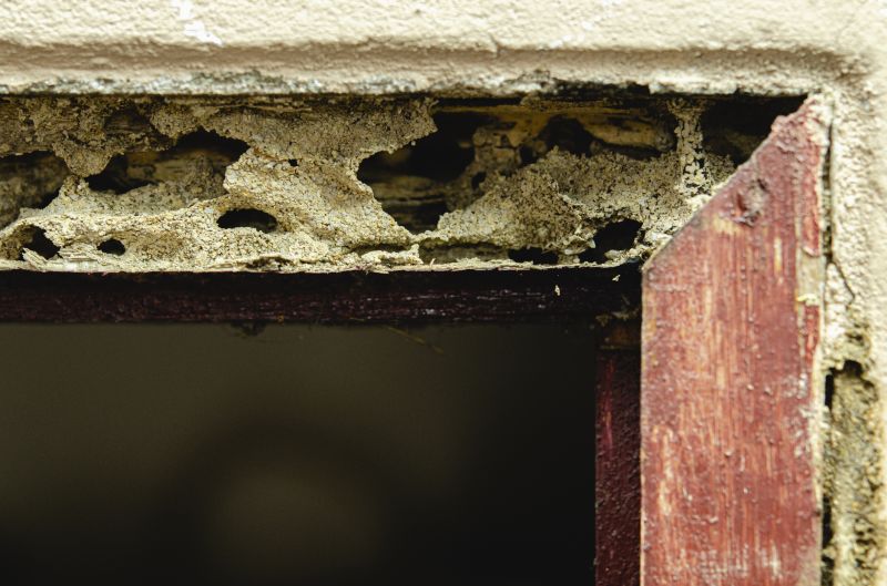Framing Repair in Kansas City, KS